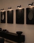 Eclipse Collection
